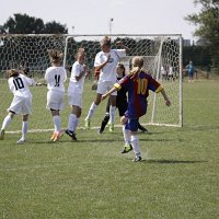 IMG 0554